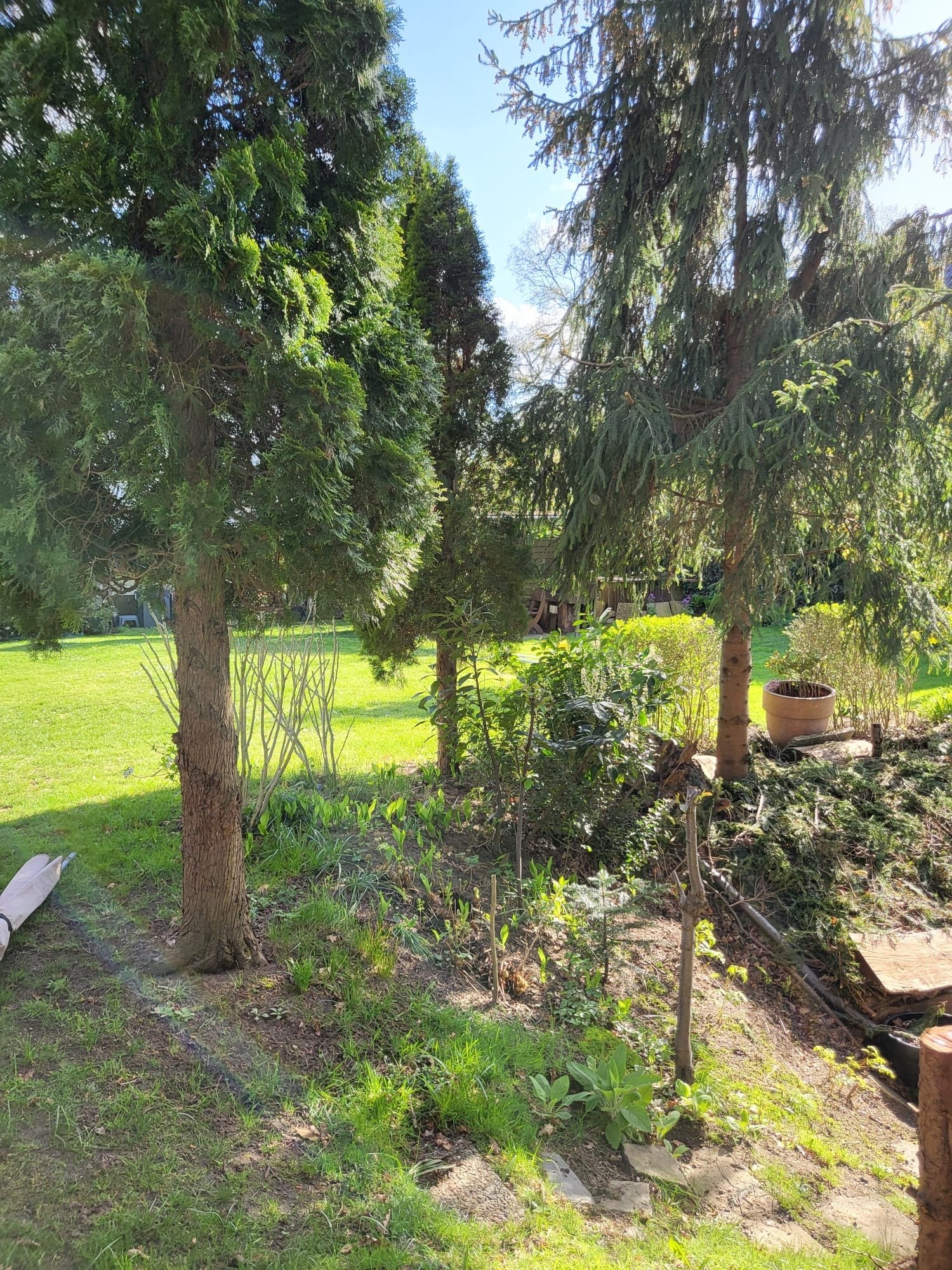 Fantastisches Anwesen in Lemsahl Mellingstedt mit Möglichkeit der Grundstücksteilung und Bau einer weiteren Immobilie.