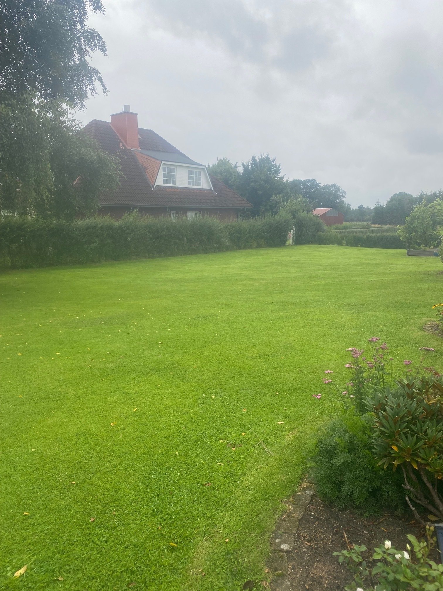 Freies Baugrundstück in 25499 Tangstedt. Bau eines Ein - oder Zweifamilienhauses möglich.