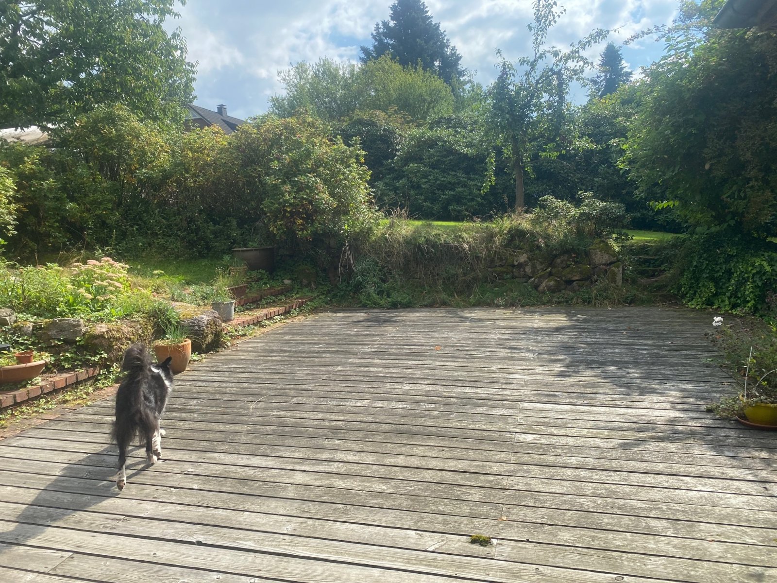 Terrasse EG Terrasse EG