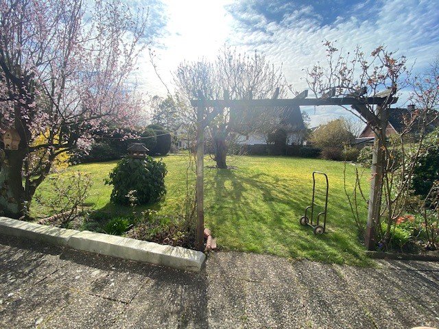 Blick aus dem Wintergarten