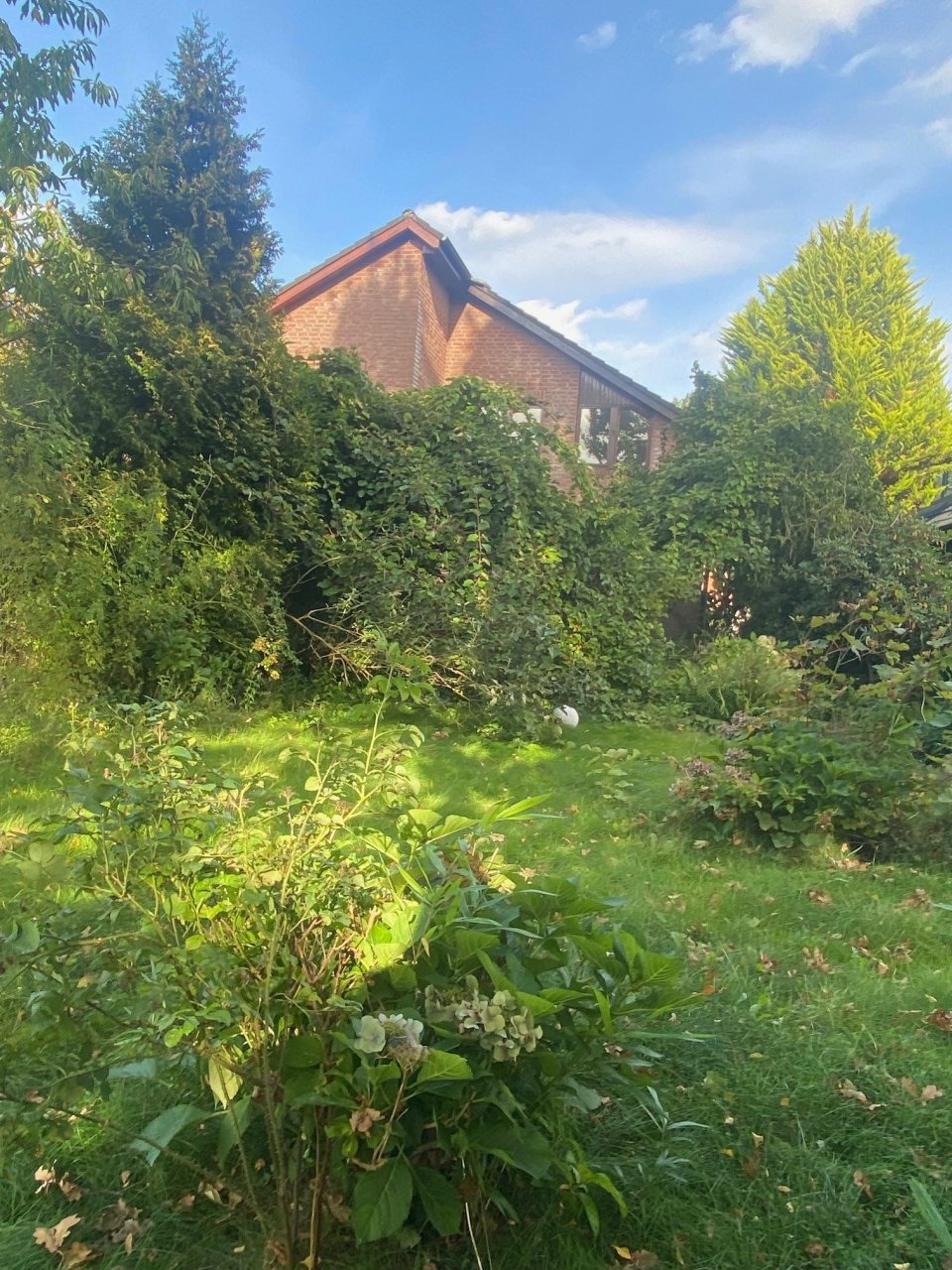 Hausansicht Gartenseite